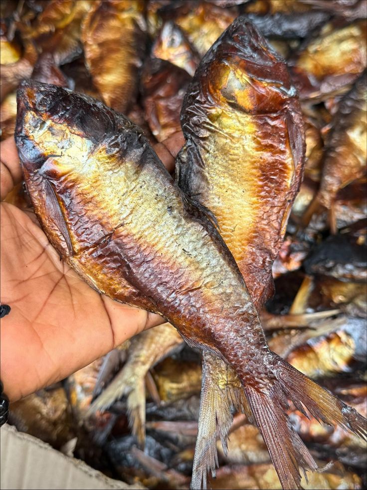 Dried Shawa Fish